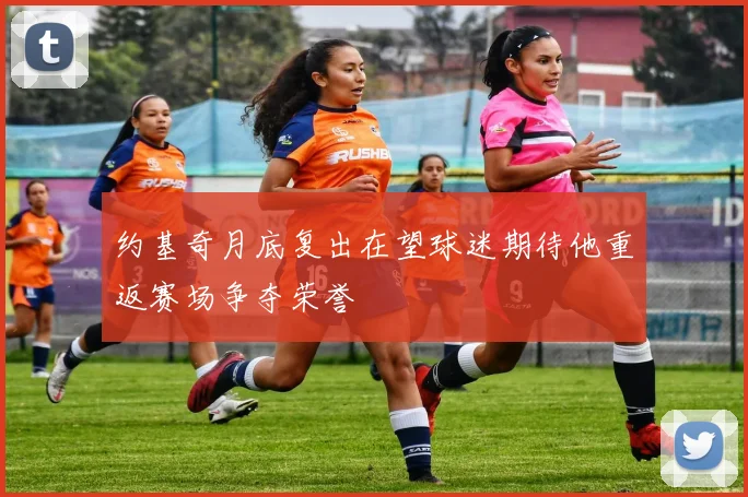 约基奇月底复出在望球迷期待他重返赛场争夺荣誉